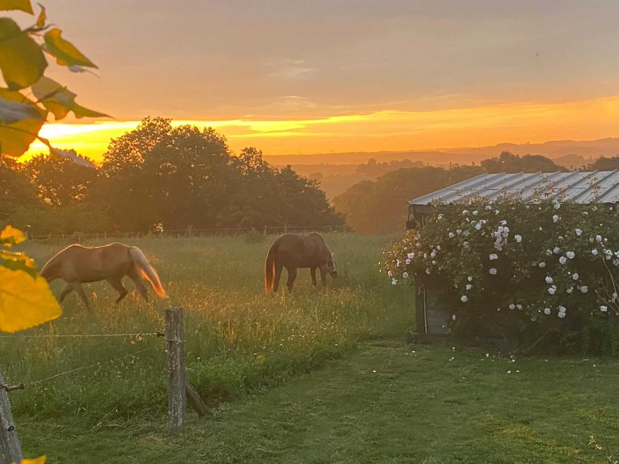 Logement Entier De Charme, Gite Equestre Gers Flamarens Exterior foto