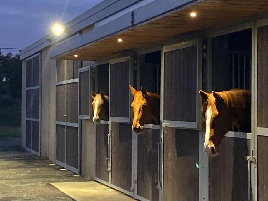 Logement Entier De Charme, Gite Equestre Gers Flamarens Exterior foto
