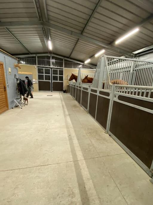 Logement Entier De Charme, Gite Equestre Gers Flamarens Exterior foto