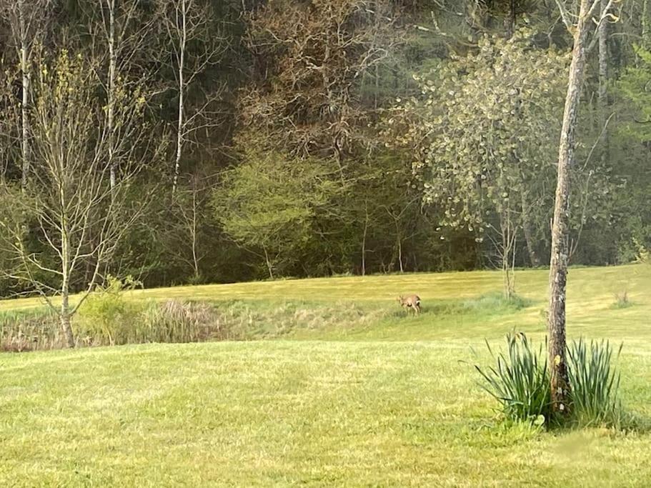 Logement Entier De Charme, Gite Equestre Gers Flamarens Exterior foto